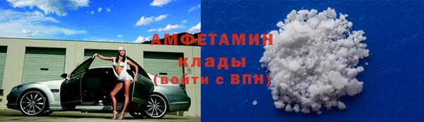ПСИЛОЦИБИНОВЫЕ ГРИБЫ Киселёвск